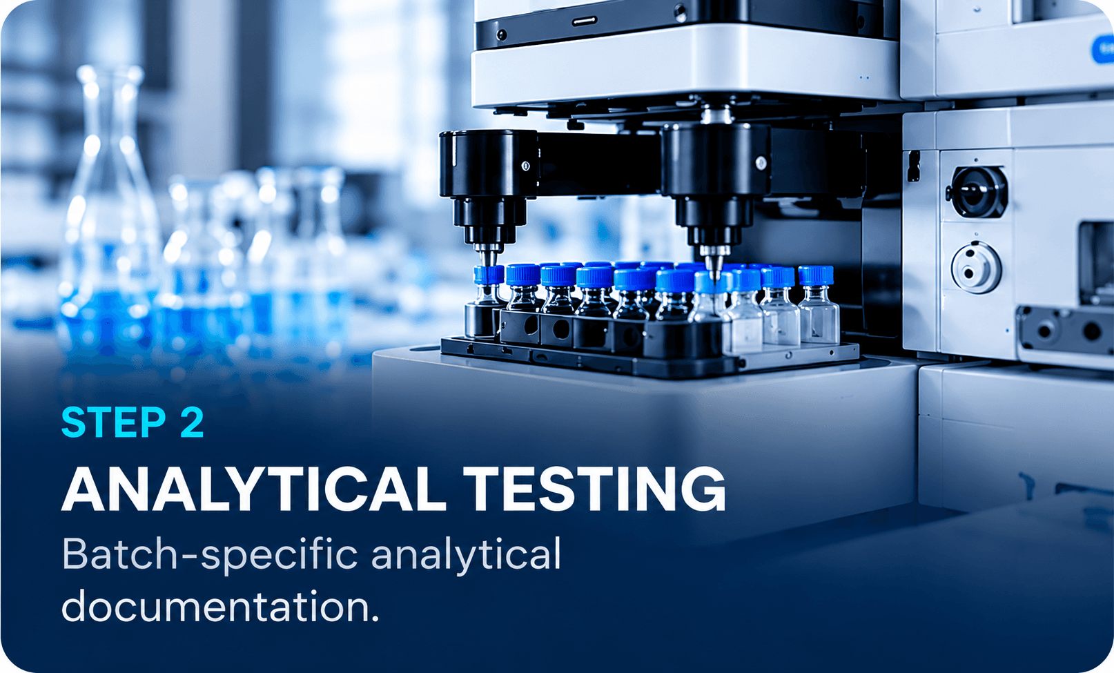 Step 2: Analytical Testing. Batch-specific analytical documentation.